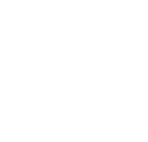 ico-3-img
