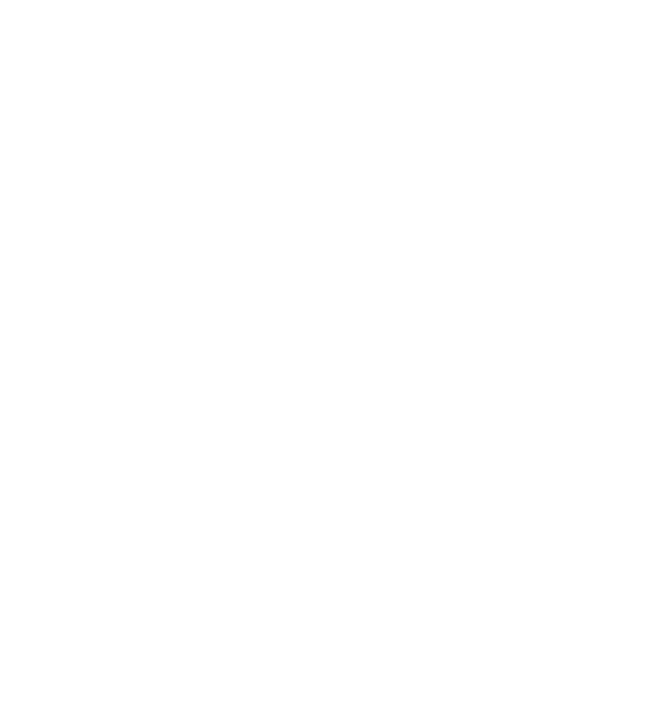ico-4-img